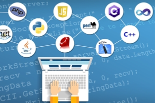 Programming Languages